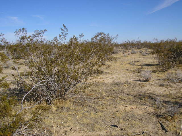 the area near the confluence