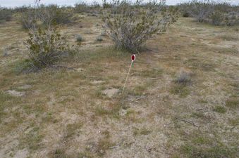 #1: This plastic marker (left by a previous visitor) marks the confluence point