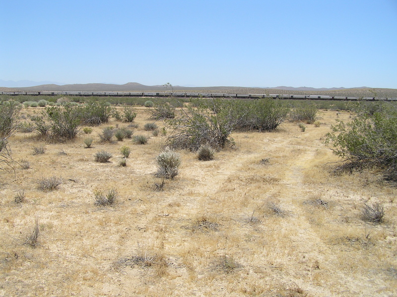View to the south from the confluence with the train in the distance.
