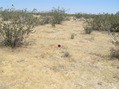 #4: View to the northeast from the confluence.  Someone had placed a marker here a short distance from where I had located the confluence.