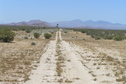 #6: I love this photo:  View to the southwest, 50 meters south of the confluence.  I did not drive on this road.