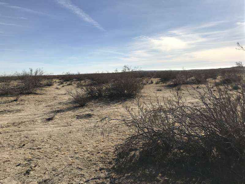 Looking east from the confluence point.