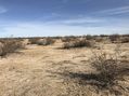 #2: Looking north from the confluence point.