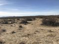 #4: Looking south from the confluence point.