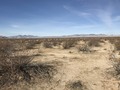 #5: Looking west from the confluence point.