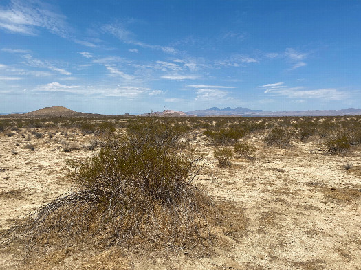 #1: The confluence point lies in the Mojave Desert, south of CA highway 58.  (This is also a view to the West, towards the Tehachapi Range)