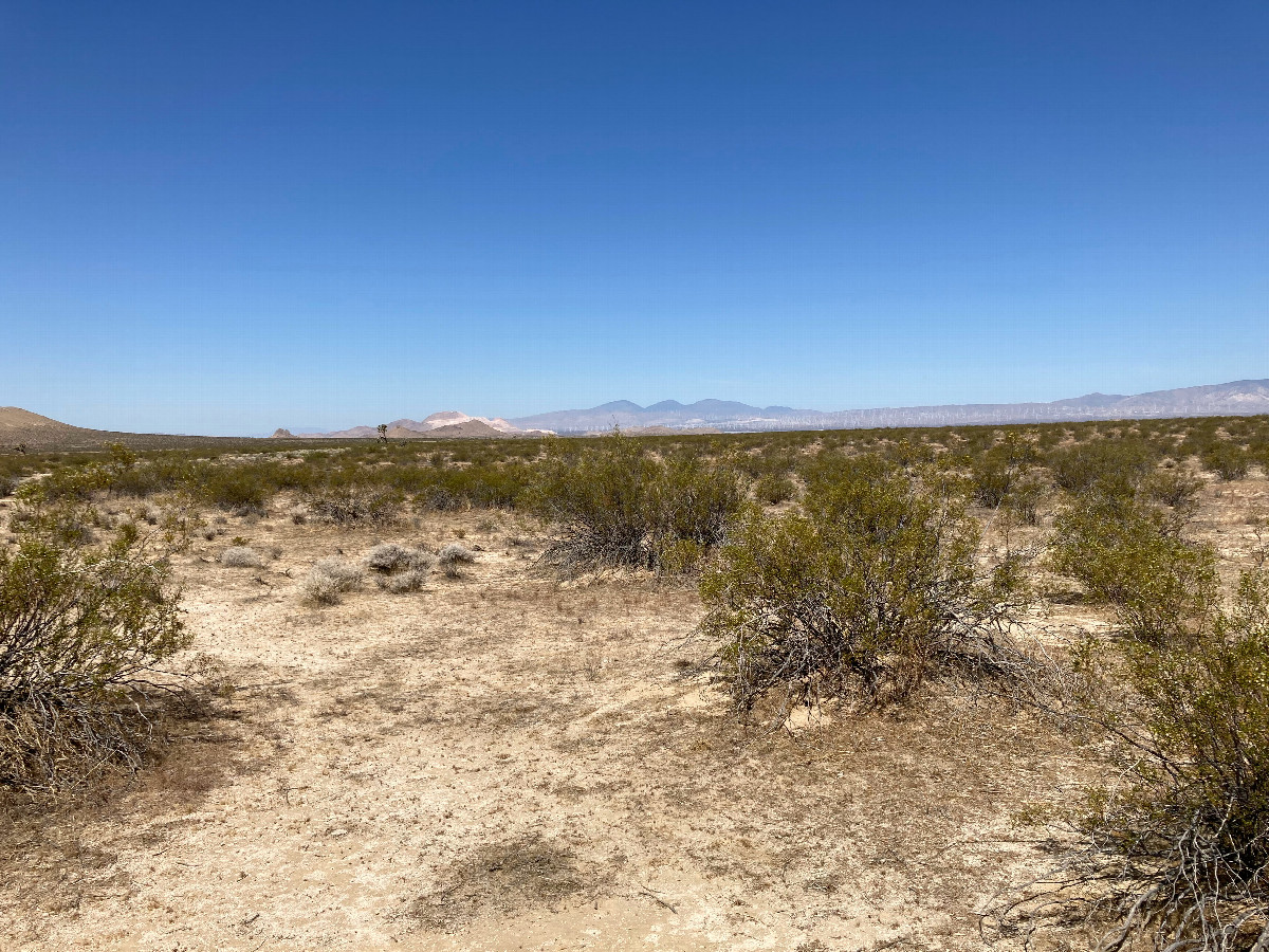 Looking west, toward the Tehachapi Mountains