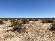 #2: Looking north from the confluence