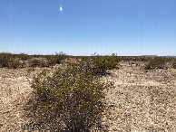 #3: Looking east