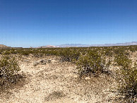 #5: Looking west, toward the Tehachapi Mountains