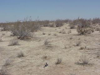 #1: Photo of confluence looking North