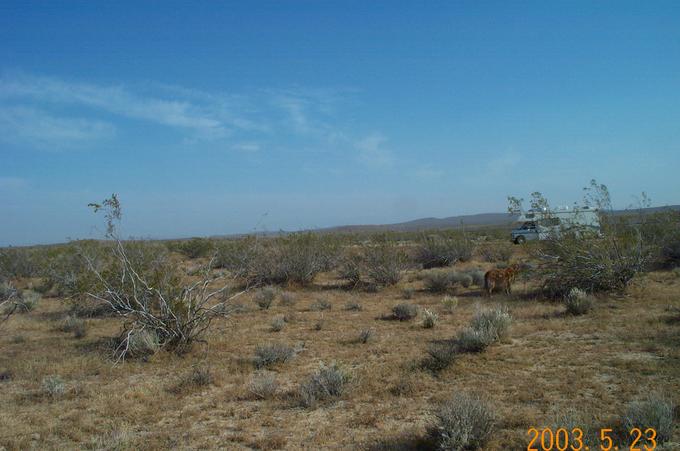 Looking South shows proximity to pipeline road