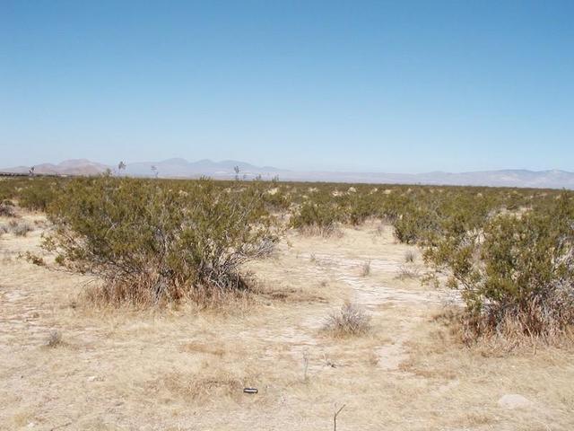looking west - look close and you can see the windmills above Mojave