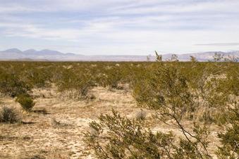 #1: View West (due W in center of image)