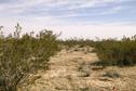 #3: View East (due E in center of image)