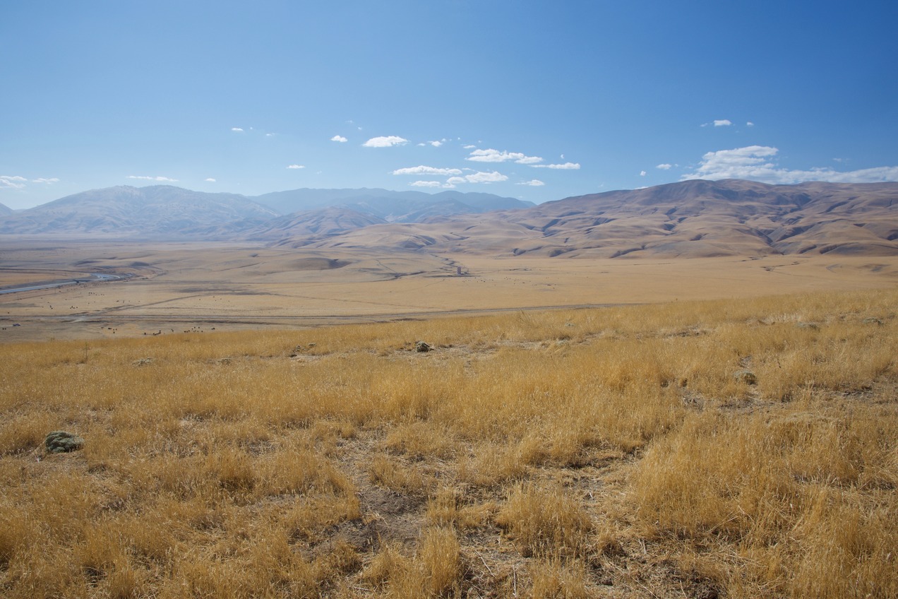 View South