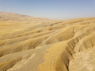 #11: View West from 120 m above the point