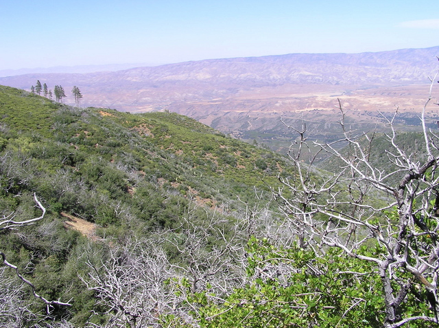 View north (towards the Cuyama Valley)
