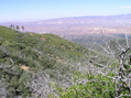 #2: View north (towards the Cuyama Valley)