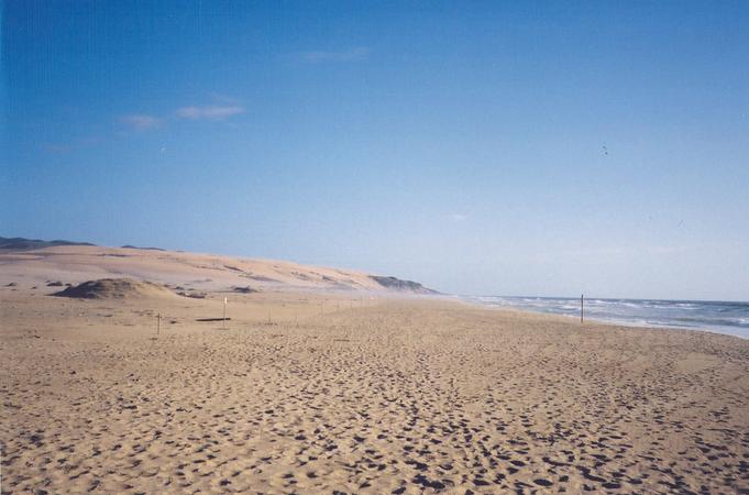 Looking south down the coastline.