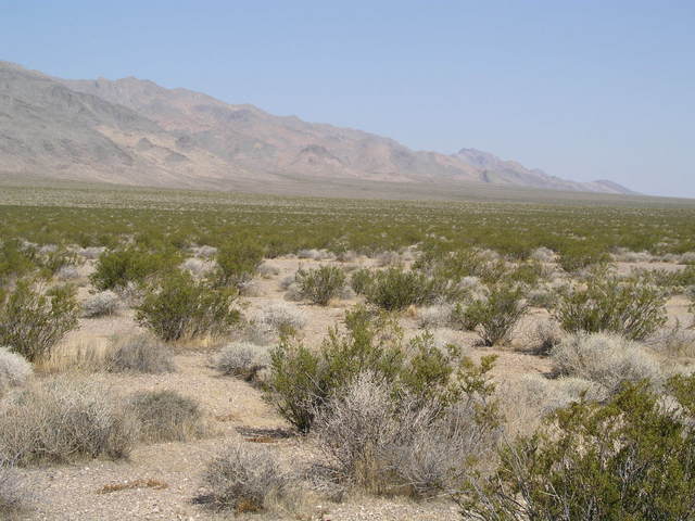 Looking northwest to the Nopah Range.