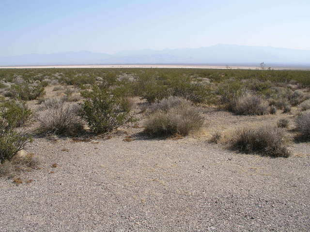 Looking northeast into Nevada.