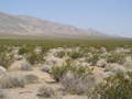 #2: Looking northwest to the Nopah Range.