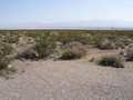 #3: Looking northeast into Nevada.