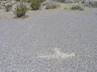 #1: The confluence point lies within this clear gravel patch.  (A previous visitor has scraped out a mark, noting the location.)