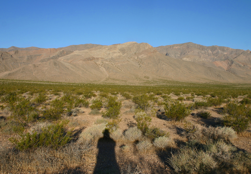 Looking West, with shadow ;-)