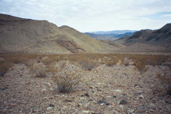 A view from the confluence point