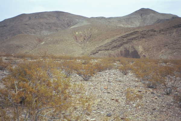 Another view from the confluence point