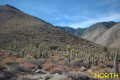 #3: Looking north from the confluence point