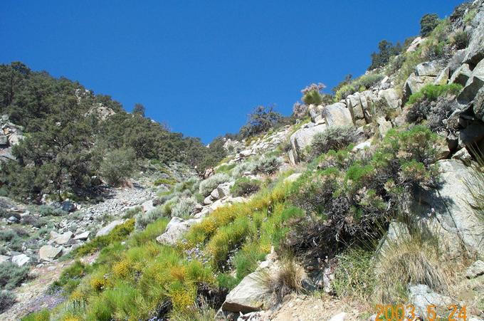 Looking NW towards top of ridge