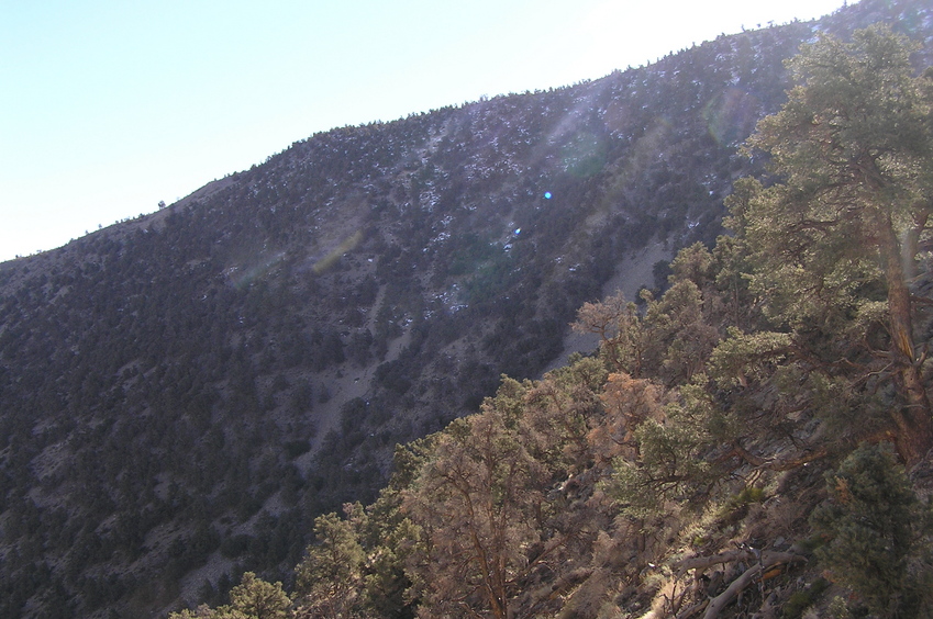 View to the south from the confluence point.