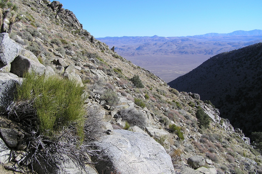 View to the east from the confluence.