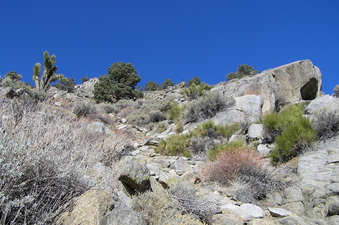 #1: Confluence point in the foreground of this view to the north.