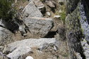 #7: Groundcover at the confluence point.