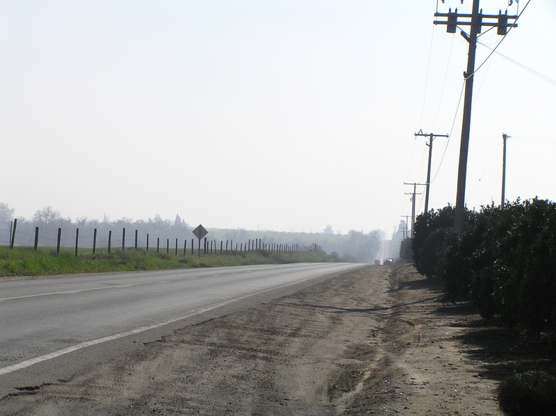 View to the south from the confluence.