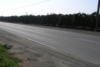 #1: The confluence of 36 North 119 West lies to the front of the trees in the center of this photograph.