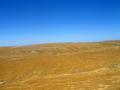 #2: View East