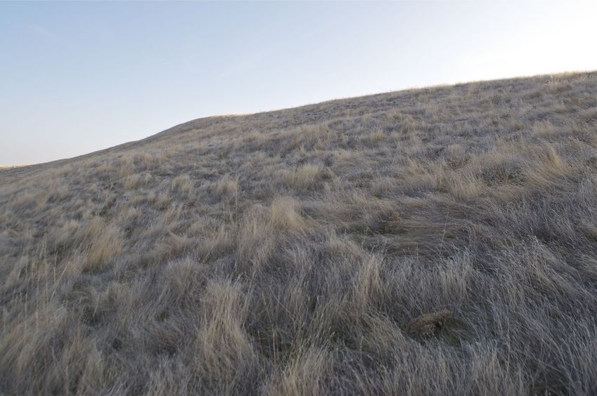 View South (along the hillside)