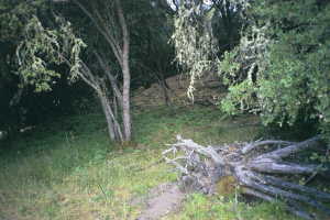 #1: A view of the confluence point, which lies just within the chaparral in the background