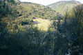 #4: Looking through the chapparral, just above the confluence point