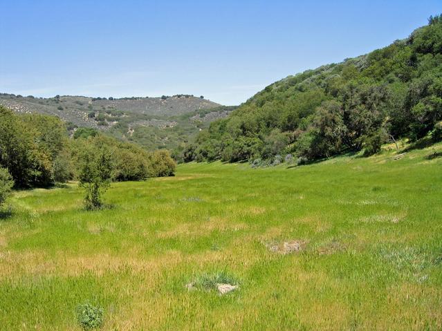 Looking northeast down the meadow