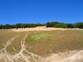 #3: Looking north at trailhead