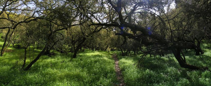 Beautiful path along the valley bottom