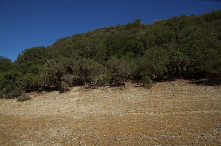 View East from the meadow, 120 feet East of the confluence point