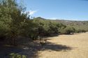 #7: View North from the meadow, 120 feet East of the confluence point