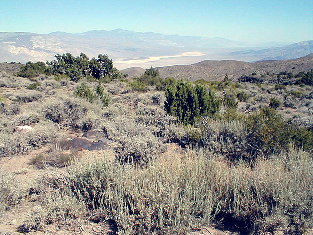 Panamint Valley